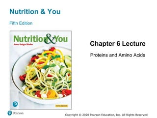Nutrition & You
Fifth Edition
Chapter 6 Lecture
Proteins and Amino Acids
Copyright © 2020 Pearson Education, Inc. All Rights Reserved
 