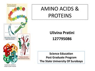 AMINO ACIDS &
  PROTEINS

       Ulivina Pratini
        127795086


       Science Education
    Post Graduate Program
The State University Of Surabaya
 