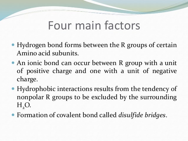proteins and amino acids which amino acids can form hydrogen bonds