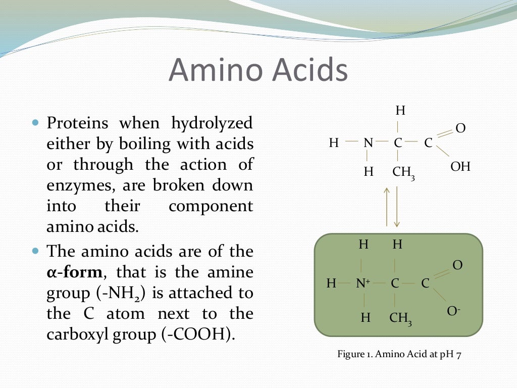 Proteins and Amino acids