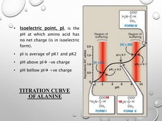 Isoelectric Amino acids and Structure of Proteins | PPTX