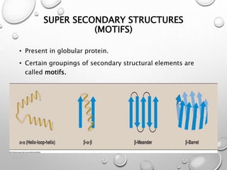 Amino Acids And Structure Of Proteins PPTX amino-acids-and-structure-of-proteins-pptx