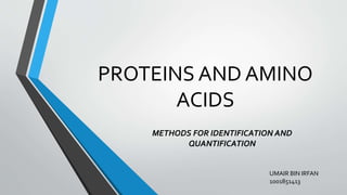 PROTEINS AND AMINO
ACIDS
METHODS FOR IDENTIFICATION AND
QUANTIFICATION
UMAIR BIN IRFAN
1001851413
 