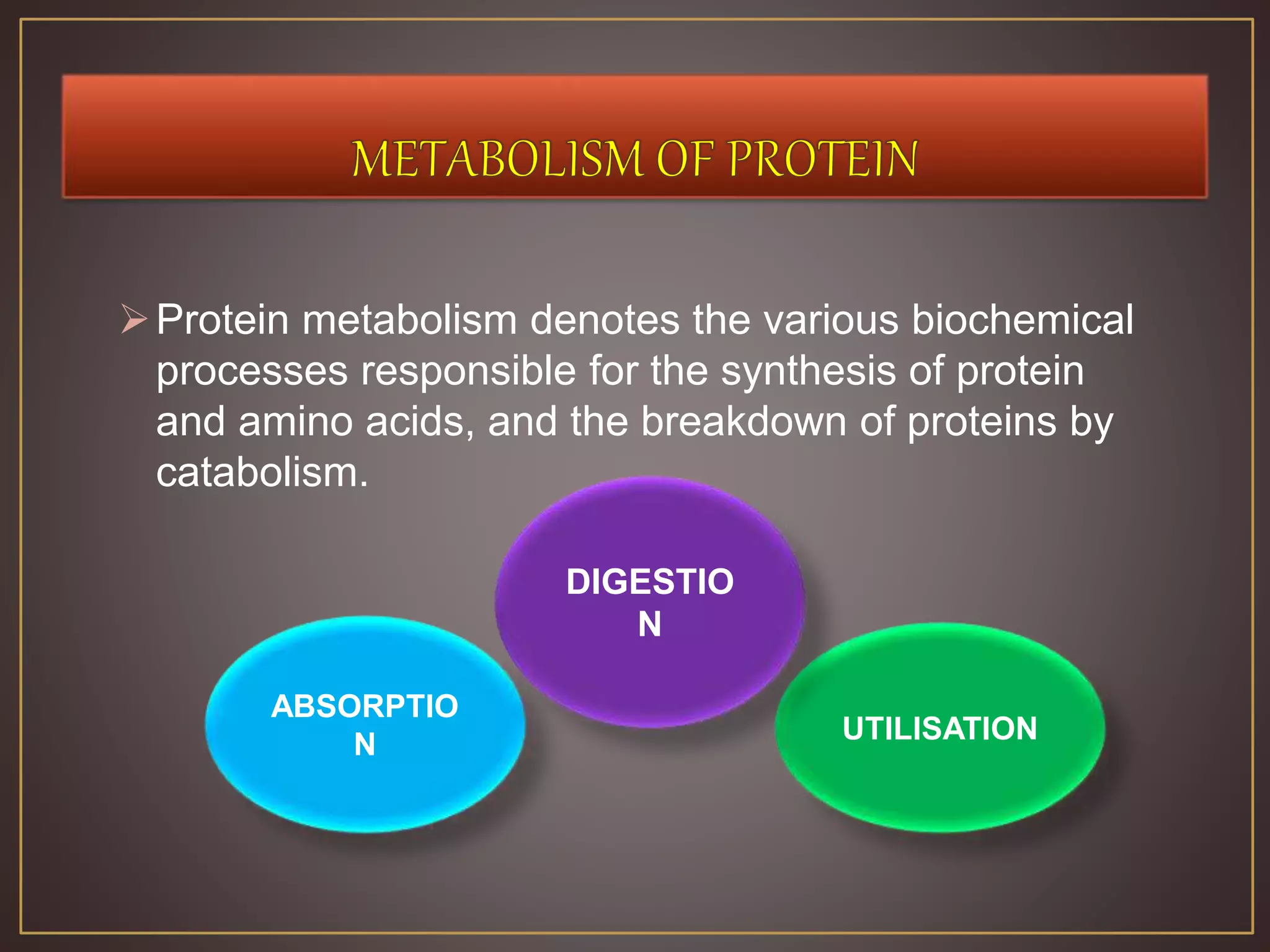 Protein metabolism denotes the various biochemical
processes responsible for the synthesis of protein
and amino acids, and the breakdown of proteins by
catabolism.
ABSORPTIO
N UTILISATION
DIGESTIO
N
 