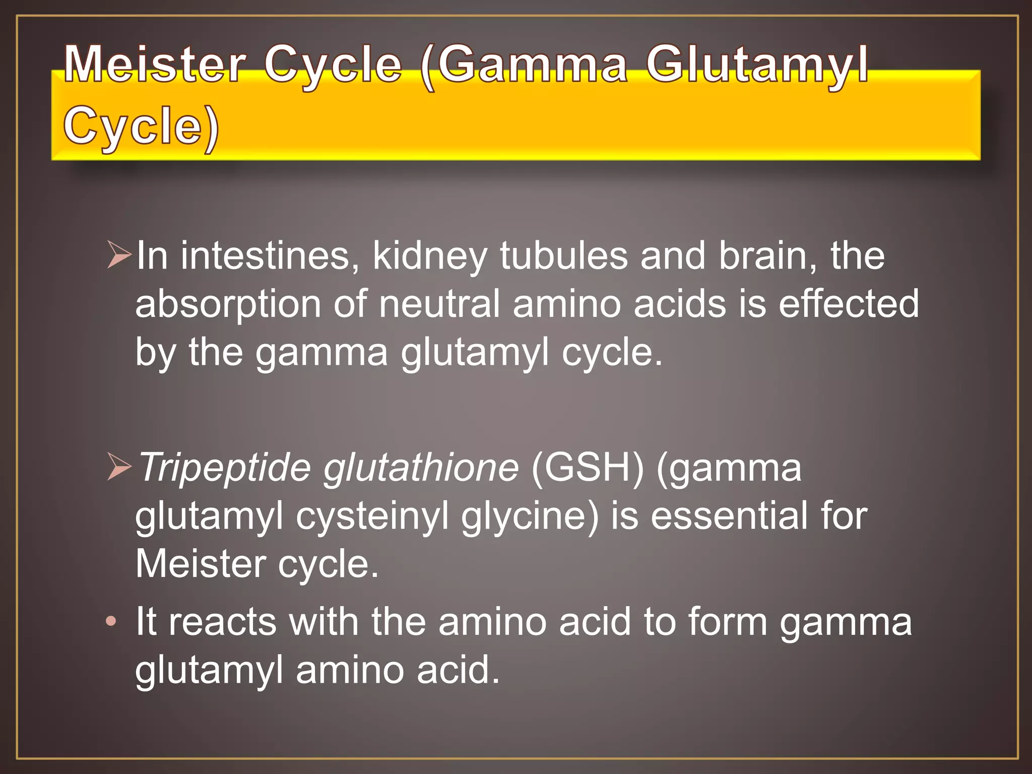 In intestines, kidney tubules and brain, the
absorption of neutral amino acids is effected
by the gamma glutamyl cycle.
Tripeptide glutathione (GSH) (gamma
glutamyl cysteinyl glycine) is essential for
Meister cycle.
• It reacts with the amino acid to form gamma
glutamyl amino acid.
 