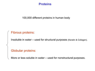Proteins and enzymes | PPT