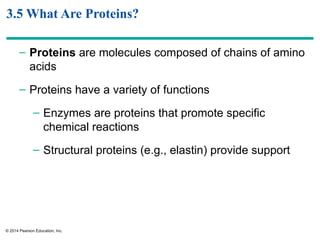 Comprehensive Overview of Protein Structure and Function in AP Biology ...