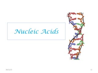 Nucleic Acids
1109/11/15
 