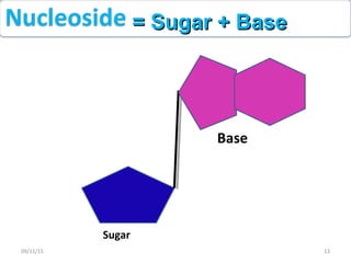Sugar
Base
= Sugar + Base= Sugar + Base
1309/11/15
 
