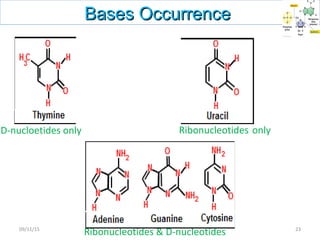Bases OccurrenceBases Occurrence
Ribonucleotides only
Ribonucleotides & D-nucleotides
D-nucloetides only
2309/11/15
 