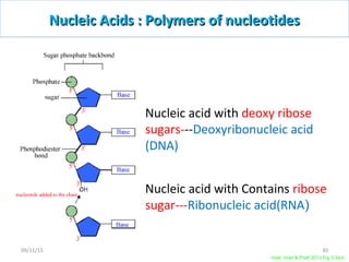 Voet, Voet & Pratt 2013 Fig 3.3a,b
Nucleic Acids : Polymers of nucleotidesNucleic Acids : Polymers of nucleotides
Nucleic acid with deoxy ribose
sugars---Deoxyribonucleic acid
(DNA)
Nucleic acid with Contains ribose
sugar---Ribonucleic acid(RNA)
3009/11/15
 