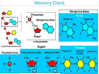 Memory Check
3209/11/15
 