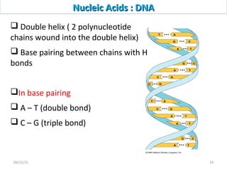 Double helix ( 2 polynucleotide
chains wound into the double helix)
 Base pairing between chains with H
bonds
In base pairing
 A – T (double bond)
 C – G (triple bond)
Nucleic Acids : DNANucleic Acids : DNA
3309/11/15
 