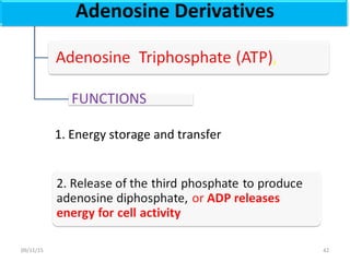 Adenosine Derivatives
1. Energy storage and transfer
4209/11/15
 