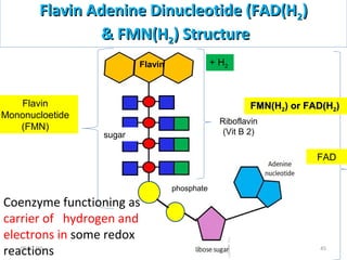 Flavin Adenine Dinucleotide (FAD(HFlavin Adenine Dinucleotide (FAD(H22))
& FMN(H& FMN(H22) Structure) Structure
Flavin
Mononucloetide
(FMN)
Flavin
Coenzyme functioning as
carrier of hydrogen and
electrons in some redox
reactions
sugar
+ H2
Riboflavin
(Vit B 2)
FAD
FMN(HFMN(H22) or FAD(H) or FAD(H22))
phosphate
4509/11/15
 