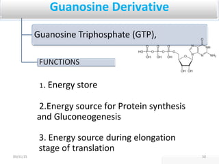 Guanosine Derivative
1. Energy store
2.Energy source for Protein synthesis
and Gluconeogenesis
5009/11/15
 