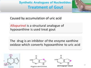 Synthetic Analogues of Nucleotides:
Treatment of Gout
Caused by accumulation of uric acid
5709/11/15
 