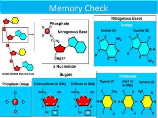 Memory Check
6009/11/15
 