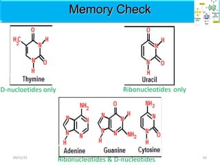 Memory CheckMemory Check
Ribonucleotides only
Ribonucleotides & D-nucleotides
D-nucloetides only
6109/11/15
 