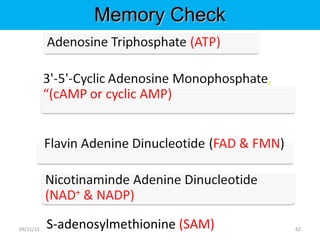 S-adenosylmethionine (SAM)
Memory CheckMemory Check
6209/11/15
 