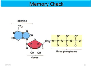 Memory CheckMemory Check
6309/11/15
 
