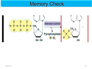 Memory CheckMemory Check
6409/11/15
 