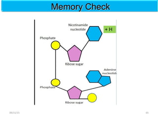 Memory CheckMemory Check
6509/11/15
 