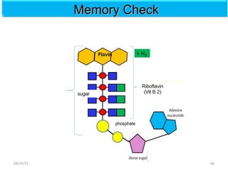Memory CheckMemory Check
6609/11/15
 