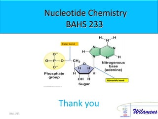 Nucleotide ChemistryNucleotide Chemistry
BAHS 233BAHS 233
Thank you
7509/11/15
 