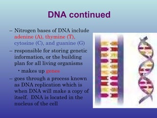 Proteins and nucleic acids notes | PPT