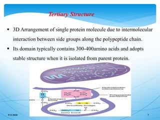 Proteins and peptide drug delivery system | PDF