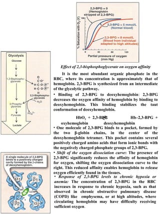 Proteins and their biological structures | PPT