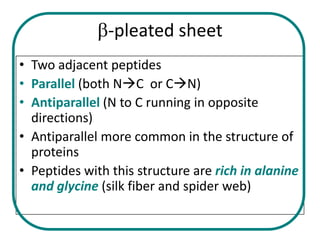 b-pleated sheet
• Two adjacent peptides
• Parallel (both NC or CN)
• Antiparallel (N to C running in opposite
  directions)
• Antiparallel more common in the structure of
  proteins
• Peptides with this structure are rich in alanine
  and glycine (silk fiber and spider web)
 