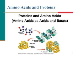 1
Amino Acids and Proteins
Proteins and Amino Acids
(Amino Acids as Acids and Bases)
Copyright © 2007 by Pearson Education, Inc.
Publishing as Benjamin Cummings
 