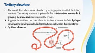 Tertiary structure
 The overall three-dimensional structure of a polypeptide is called its tertiary
structure. The tertiary structure is primarily due to interactions between the R
groups of the amino acidsthat make up the protein.
 R group interactions that contribute to tertiary structure include hydrogen
bonding,ionic bonding,dipole-dipoleinteractions, and Londondispersionforces.
 Eg: Growthhormone
 