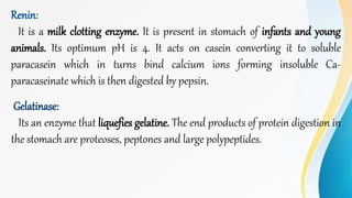 Renin:
It is a milk clotting enzyme. It is present in stomach of infants and young
animals. Its optimum pH is 4. It acts on casein converting it to soluble
paracasein which in turns bind calcium ions forming insoluble Ca-
paracaseinate which is then digested by pepsin.
Gelatinase:
Its an enzyme that liquefies gelatine. The end products of protein digestion in
the stomach are proteoses, peptones and large polypeptides.
 