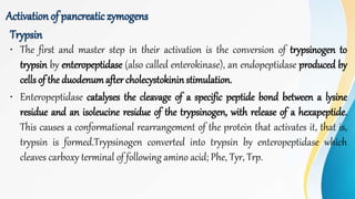 Trypsin
• The first and master step in their activation is the conversion of trypsinogen to
trypsin by enteropeptidase (also called enterokinase), an endopeptidase produced by
cells of the duodenumafter cholecystokinin stimulation.
• Enteropeptidase catalyses the cleavage of a specific peptide bond between a lysine
residue and an isoleucine residue of the trypsinogen, with release of a hexapeptide.
This causes a conformational rearrangement of the protein that activates it, that is,
trypsin is formed.Trypsinogen converted into trypsin by enteropeptidase which
cleaves carboxy terminal of following amino acid; Phe, Tyr, Trp.
Activationof pancreaticzymogens
 