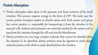 Protein Absorption:
• Protein absorption takes place in the jejunum and ileum portions of the small
intestine. This process requires energy in the form of ATP. The body uses the
carrier protein transport system to absorb amino acid. Each amino acid group
has carrier protein i.e. responsible for transporting it from the intestine to the
mucosal cells. Sodium and potassium are minerals needed for the amino acid to
pass from the intestine through the villi and into the bloodstream.
• Dietery proteins are very large complex molecule that cannot be absorbed from
the intestine.To be absorbed, dietery proteins must be digested to small simple
molecule (amino acid) which is easily absorbed from the intestine.
 