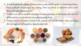 • A protein molecule consists of many amino acids joined together to form long chains,
much as beads are arranged on a string. There are about 20 different amino acids
that occur naturally in proteins.
• Protein is one of the essential nutrients, or macronutrients, in the human diet, but not
all the protein we eat converts into proteins in our body.
• Dietary sources of protein include both animals and plants: meats, dairy products,
fish and eggs, as well as grains, legumes and nuts.
 