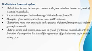 Gluthathione transport system
• Gluthathione is used to transport amino acids from intestinal lumen to cytosol of
intestinal mucosal cells.
• It is an active transport that needs energy. Which is derived from ATP.
• Absorption of one amino acid molecule needs 3 ATP molecules.
• Gluthathione reacts with amino acid in the presence of glutamyl transpeptidase to form
glutamyl amino acid.
• Glutamyl amino acid releases amino acid in cytosol of intestinal mucosal cells with the
formation of 5-oxoproline that is used for regeneration of gluthathione to begin another
turn of cycle.
 