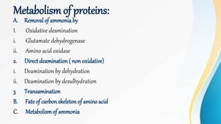 Metabolismof proteins:
A. Removal of ammoniaby
I. Oxidative deamination
i. Glutamate dehydrogenase
ii. Amino acid oxidase
2. Direct deamination( non oxidative)
i. Deamination by dehydration
ii. Deamination by desulhydration
3 Transamination
B. Fateof carbon skeleton of amino acid
C. Metabolismof ammonia
 