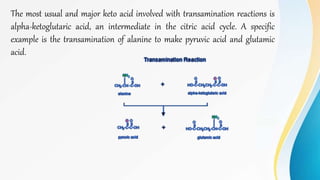 The most usual and major keto acid involved with transamination reactions is
alpha-ketoglutaric acid, an intermediate in the citric acid cycle. A specific
example is the transamination of alanine to make pyruvic acid and glutamic
acid.
 
