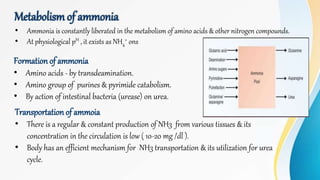 Metabolismof ammonia
• Ammonia is constantly liberated in the metabolism of amino acids & other nitrogen compounds.
• At physiological pH , it exists as NH4
+ ons
Formation of ammonia
• Amino acids - by transdeamination.
• Amino group of purines & pyrimide catabolism.
• By action of intestinal bacteria (urease) on urea.
Transportation of ammoia
• There is a regular & constant production of NH3 from various tissues & its
concentration in the circulation is low ( 10-20 mg /dl ).
• Body has an efficient mechanism for NH3 transportation & its utilization for urea
cycle.
 