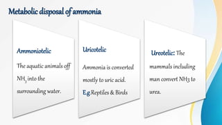 Metabolic disposal of ammonia
Ammoniotelic
The aquatic animals off
NH3 into the
surrounding water.
Uricotelic
Ammonia is converted
mostly to uric acid.
E.g.Reptiles & Birds
Ureotelic: The
mammals including
man convert NH3 to
urea.
 