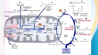 Proteins digestion, absorption, and metabolism 