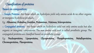 Basedon composition:
Classification of proteins
1. Simple Proteins: Are those which on hydrolysis yield only amino acids & no other organic
or inorganic hydrolysis products.
Eg: Albumins, Globulins, Gutelins, Protamines , Histones, Scleroproteins.
2. Conjugated proteins: Are those which on hydrolysis yield not only amino acids but also
organic or inorganic components. The non amino acid part is called prosthetic group. The
conjugated proteins are classified based on prosthetic group.
Eg: Nucleoproteins, Lipoproteins, Glycoproteins, Phosphoproteins, Metalloproteins,
Chromoproteins, Flavoproteins.
 