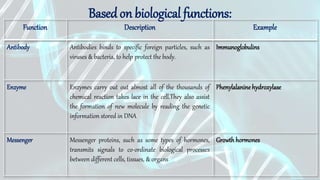Basedon biological functions:
Function Description Example
Antibody Antibodies binds to specific foreign particles, such as
viruses & bacteria, to help protect the body.
Immunoglobulins
Enzyme Enzymes carry out out almost all of the thousands of
chemical reaction takes lace in the cell.They also assist
the formation of new molecule by reading the genetic
information stored in DNA
Phenylalanine hydroxylase
Messenger Messenger proteins, such as some types of hormones,
transmits signals to co-ordinate biological processes
between different cells, tissues, & organs
Growth hormones
 