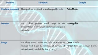 Function Descripton Example
Structuralcomponent These proteins provide structural support for cells. Actin,Myosin
Transport Are those proteins which helps in the
transportation of life sustaining chemical vital gas &
nutrients
Haemoglobin
Storage Are those stored inside the cells or tissues as
reserved food & can be mobilised at the time of
nutrient requirement at the time of energy.
Caseinin milk
Ferritinstores iron in spleen & liver.
 