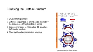 Studying the Protein Structure
Crucial Biological role
Different sequences of amino acids defined by
the sequences of nucleotides of genes
Sequencing leads to folding to a 3D structure
defining its function
Chemical bonds maintain this structure
Types of describing the Protein structure
 