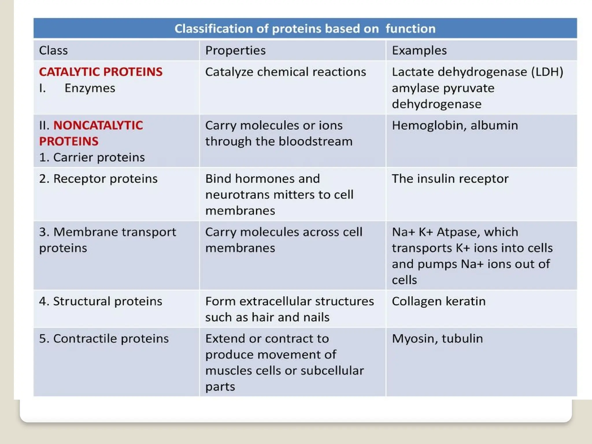 Protein, Classification of protein , properties of protein and ...